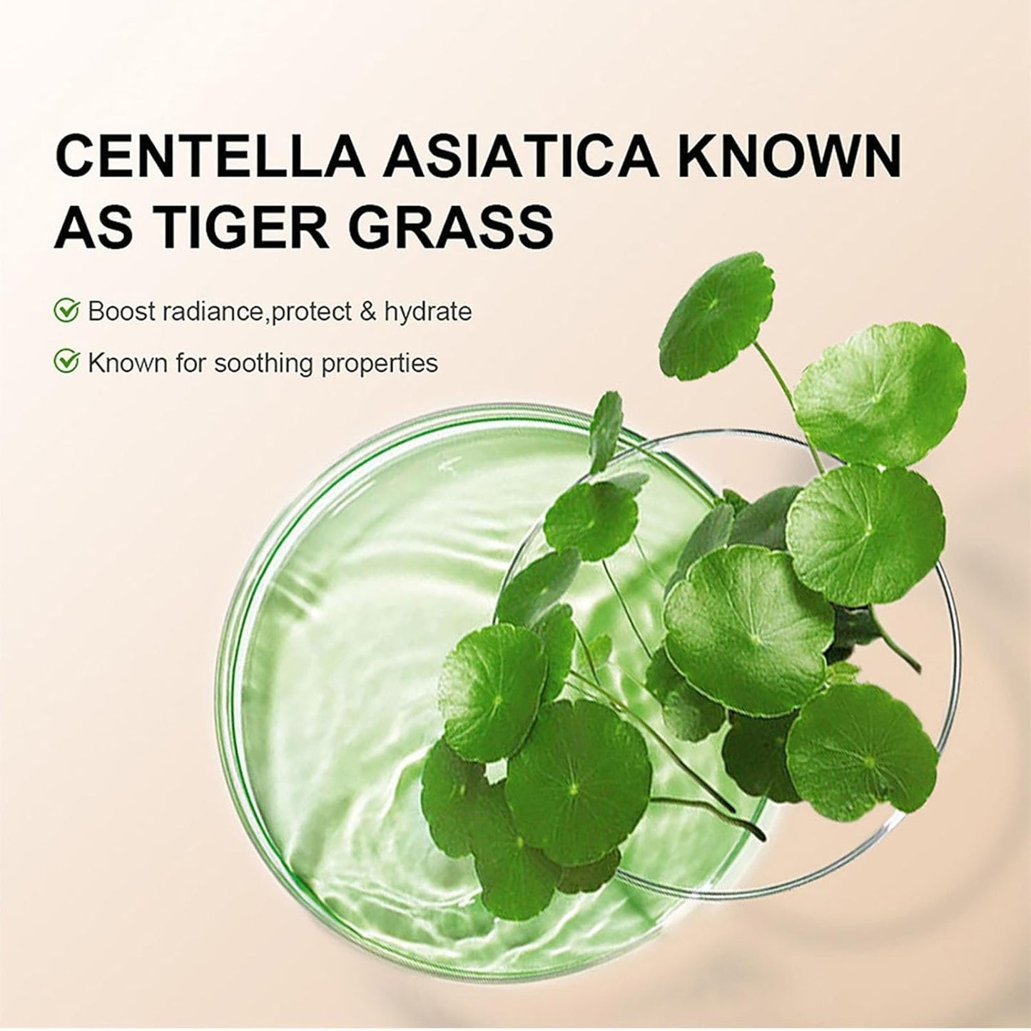 Hydrating CC Cream Foundation med Centella Asiatica❄️