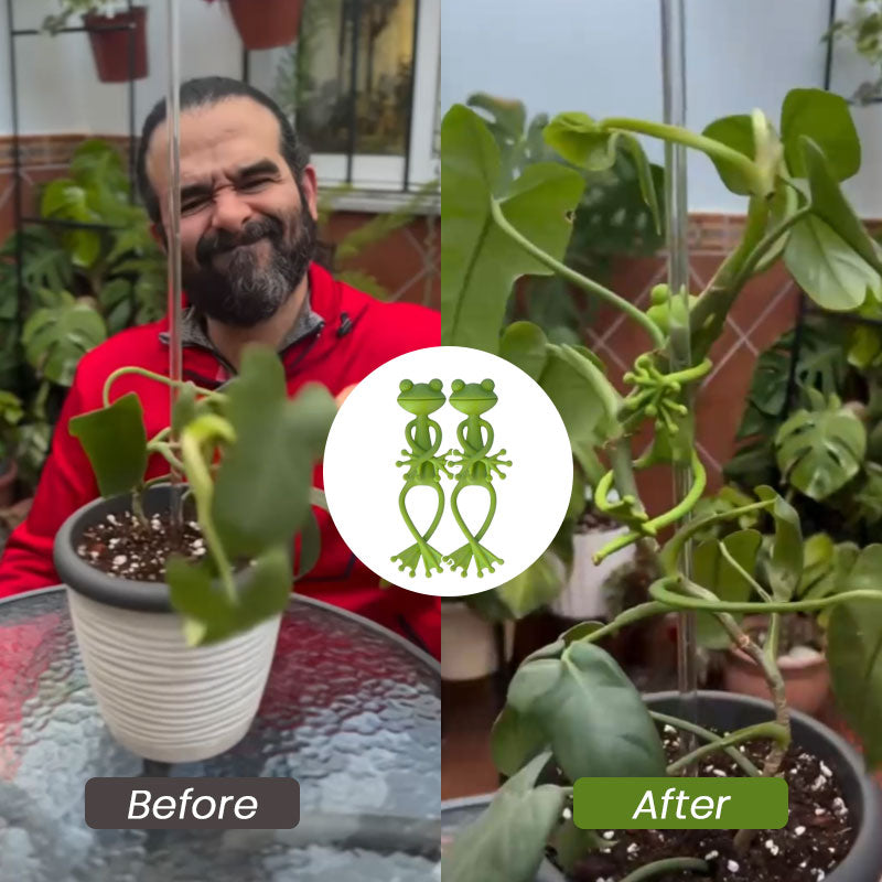 Planteholder for planter